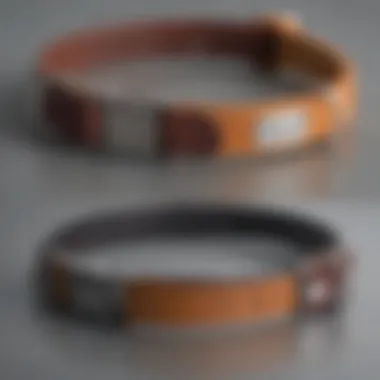 Various types of soft dog collars displayed for comparison