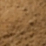 Close-up of brewer's yeast granules, highlighting their texture and color