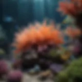 Vibrant coral reef aquarium showcasing diverse marine life