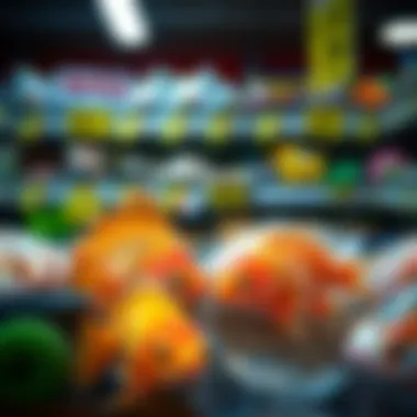 Comparative Pricing Analysis of Fish Products Pricing comparison of fish products at both stores