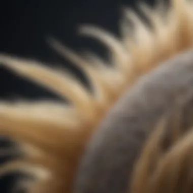 Luxurious Texture of Furminator Conditioner Close-up of Furminator conditioner texture