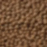Close-up of Hill Science Puppy Food kibble showcasing its texture and shape
