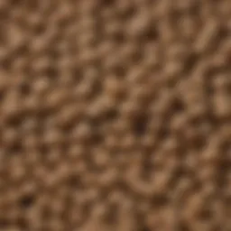 Close-up of Hill Science Puppy Food kibble showcasing its texture and shape