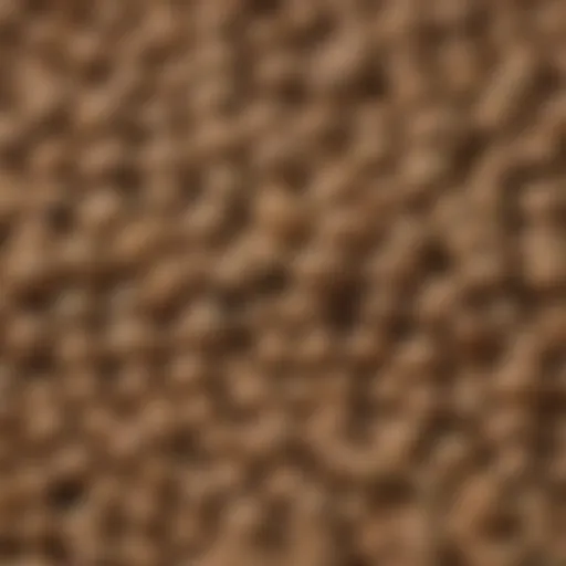Close-up of Hill Science Puppy Food kibble showcasing its texture and shape