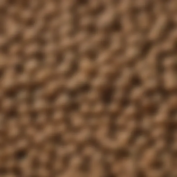 Close-up of Hill Science Puppy Food kibble showcasing its texture and shape