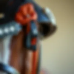 Close-up of a high-quality horse riding helmet showcasing intricate design elements.