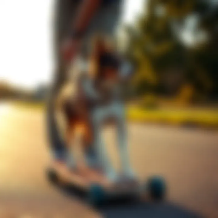 Owner Assisting Dog on Skateboard Owner guiding a dog on a skateboard