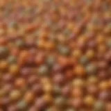 Close-up of hydrolyzed dog food granules showcasing texture and color