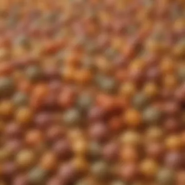 Texture of Hydrolyzed Hypoallergenic Dog Food Close-up of hydrolyzed dog food granules showcasing texture and color