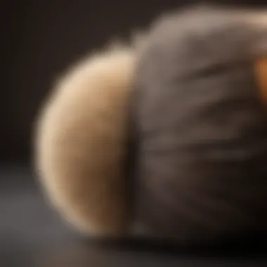 A close-up of a grooming brush with fine bristles designed for Shih Tzus.