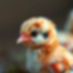 Colorful week-old chick showcasing unique plumage patterns