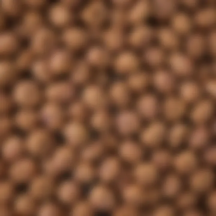 Close-up of high-quality lamb dog food in a bowl