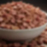 Close-up of meat-based dry dog food in a bowl