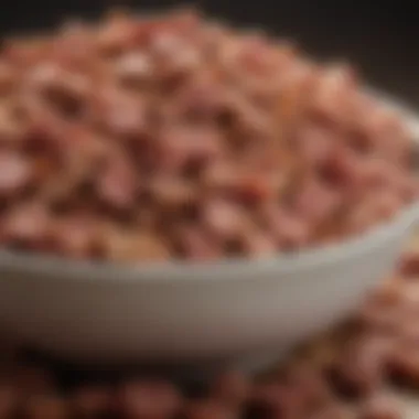 Meat-Based Dry Dog Food Close-Up Close-up of meat-based dry dog food in a bowl