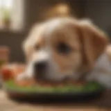 A close-up of Nature's Domain puppy food showcasing its natural ingredients.