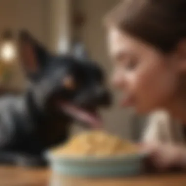 A pet owner lovingly feeding their toothless dog, emphasizing the bond between them.