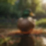 A variety of natural foods for ducks including grains and vegetables