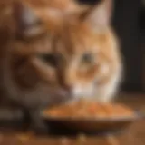 A nutritious bowl of specialized cat food for kidney health