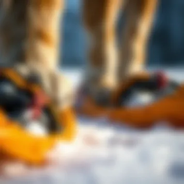 Close-up of high-quality dog snow shoes showcasing materials and design