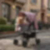 Elegant design of the Paws & Pals dog stroller showcasing its stylish exterior and comfortable interior.