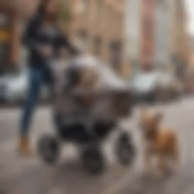 Usability in Everyday Life: Navigating with Ease A pet owner effortlessly maneuvering the stroller on a busy street, illustrating its usability.
