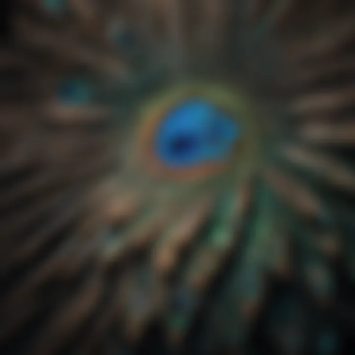 A close-up of a peacock's intricate feather details, emphasizing its beauty