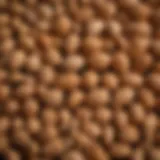 Close-up of peanut shells with a focus on their texture