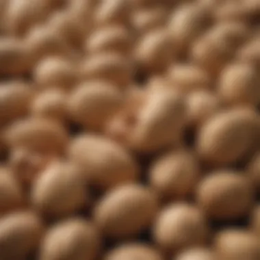 Peanuts in Shells: A Closer Look Close-up of peanuts in their shells