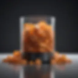 Nutritional supplement for pets in a stylish container