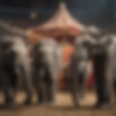 Circus Performance Setting A group of elephants in a circus performance setting