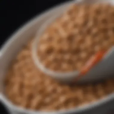 Close-up of a bowl filled with Purina wet cat food, illustrating texture and appeal