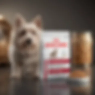 Royal Canin Renal Dog Food packaging showcasing its unique design