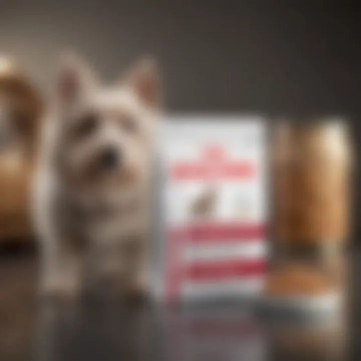 Royal Canin Renal Dog Food packaging showcasing its unique design