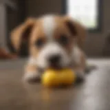 A puppy enjoying a durable rubber chew toy