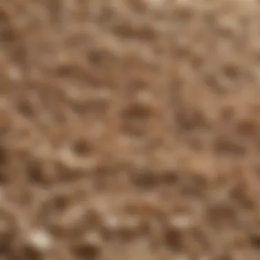 Close-up view of silica cat litter granules demonstrating texture and absorption