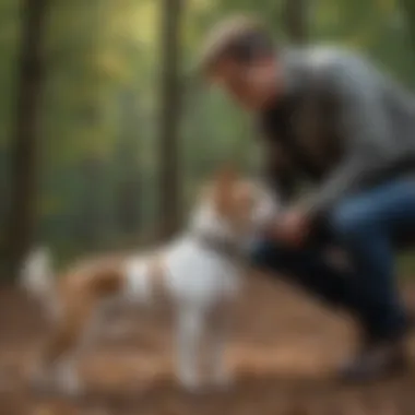 A trainer demonstrating leash techniques with a dog