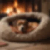 Cozy cave dog bed with a plush interior