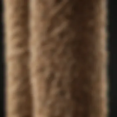 Close-up view of a sturdy scratching post made from natural materials