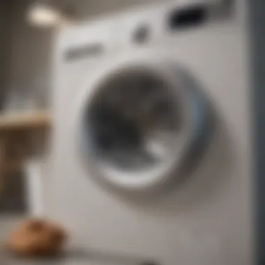 Optimal Laundry Techniques for Pet Owners A close-up of a washing machine displaying the correct settings for washing pet-related fabrics.