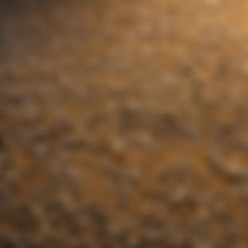 Detailed view of Tidy Cat litter granules showcasing texture and color.