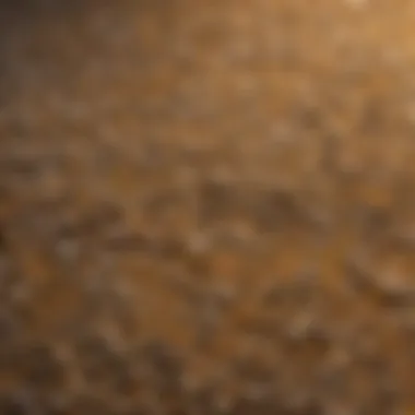 Texture and Color of Tidy Cat Litter Detailed view of Tidy Cat litter granules showcasing texture and color.