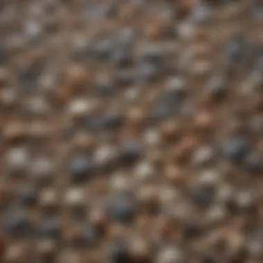 Textural Details of Top Fin Premium Gravel Close-up of Top Fin Premium Aquarium Gravel showcasing texture