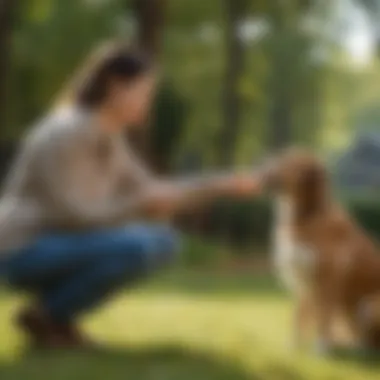 Owner engaging with a dog using positive reinforcement