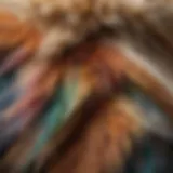 Close-up of a cat's fur displaying different color patterns.