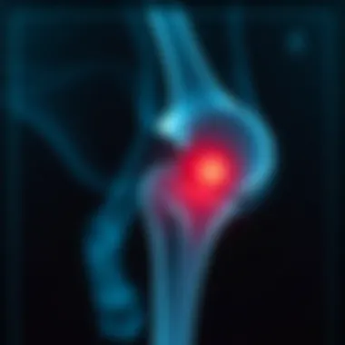 X-ray of dog's knee joint