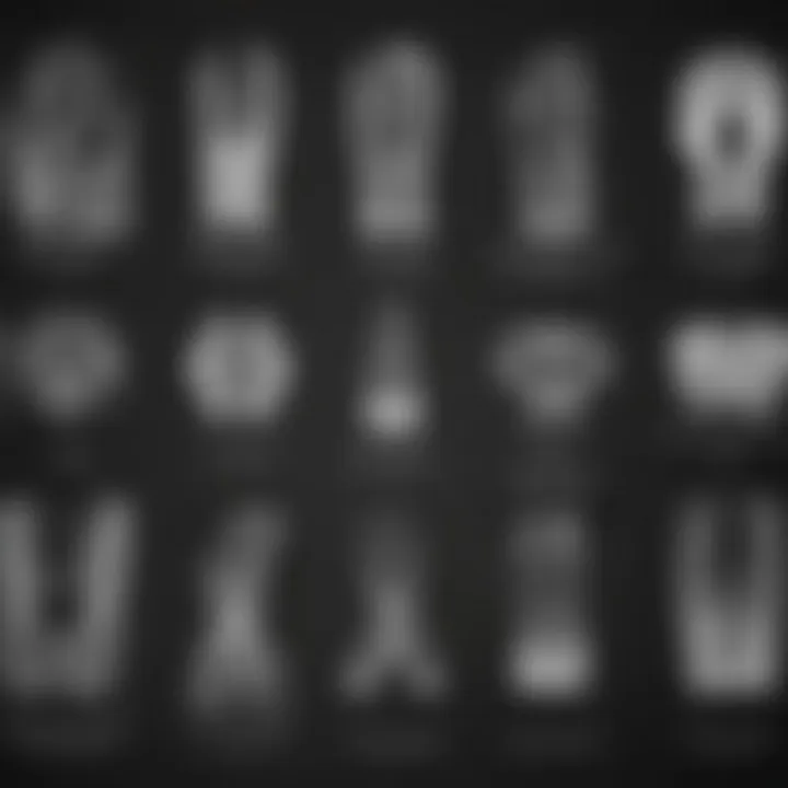 A graphic showing different types of veterinary x-rays
