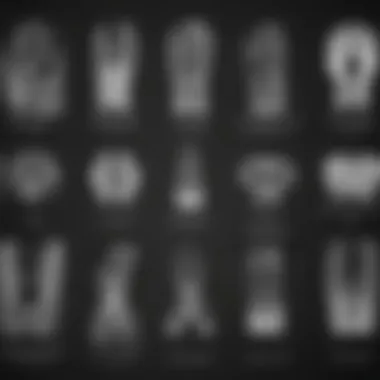 Types of X-Rays Available for Pets A graphic showing different types of veterinary x-rays