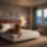 A cozy petshotel room showcasing comfortable bedding and toys for pets