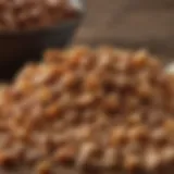 Close-up of soft chunk dog food showcasing its texture and ingredients