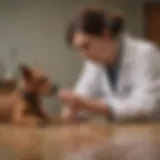 Veterinarian examining a dog at home